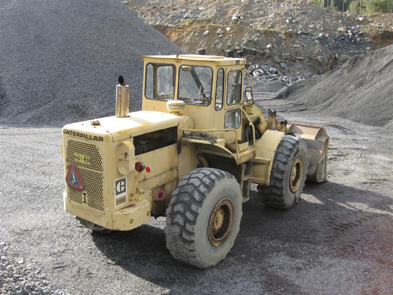 syrj 012 (Medium).jpg