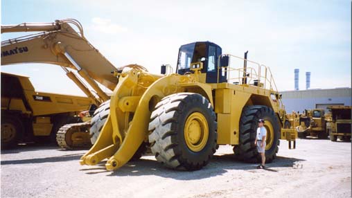 CAT1307a.jpg