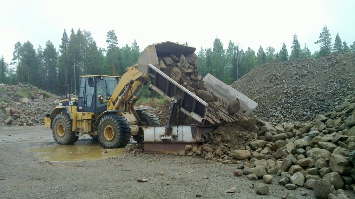 yksi mustalammaskin on eksynyt joukkoon
