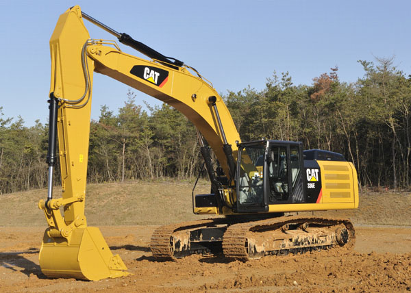 CAT 01.jpg