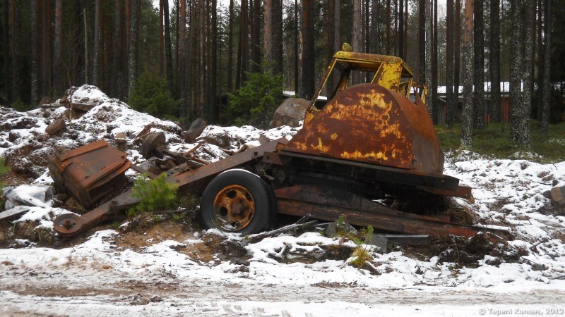 Keltainen Pikku-Jussi?