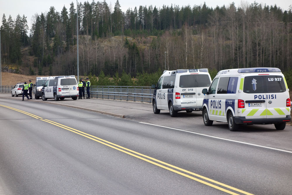 Sinivuokot odottelee.
