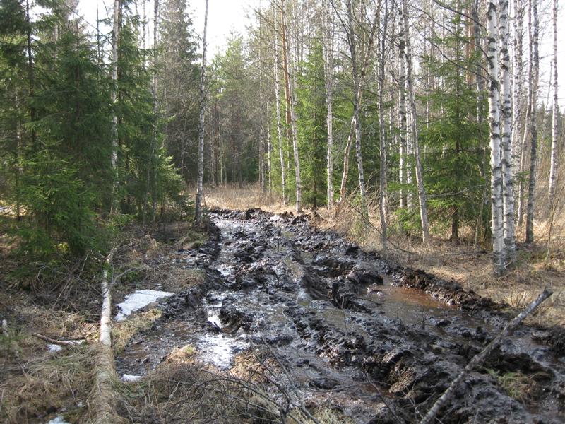 Tästä tultiin yli heittämällä, tuossa mutkassa ylitettiin vanha oja, jossa painuttiin hieman...