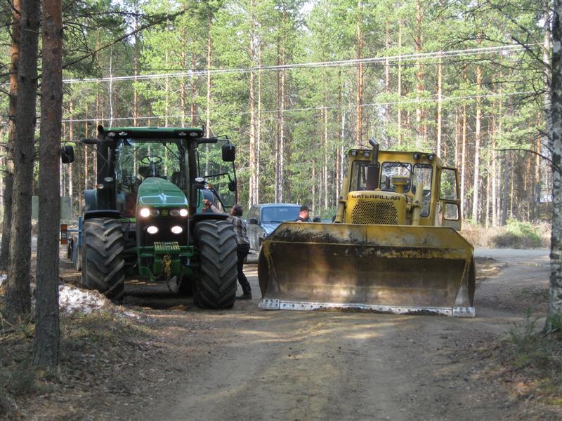 "NO FEAR THE CAT IS HERE"