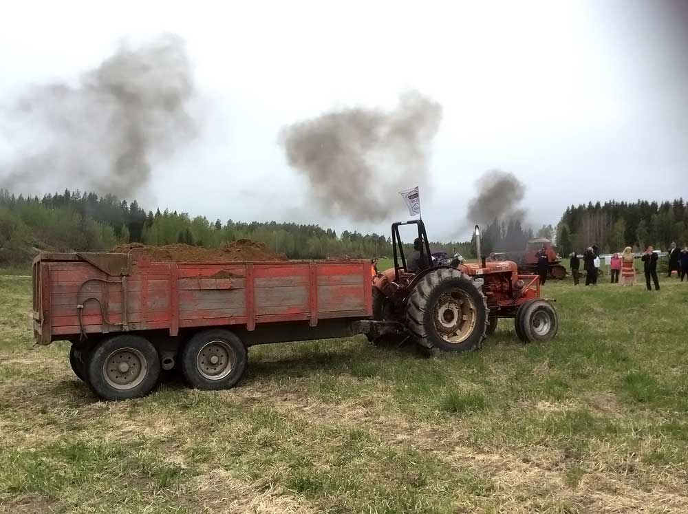 pauke16.jpg