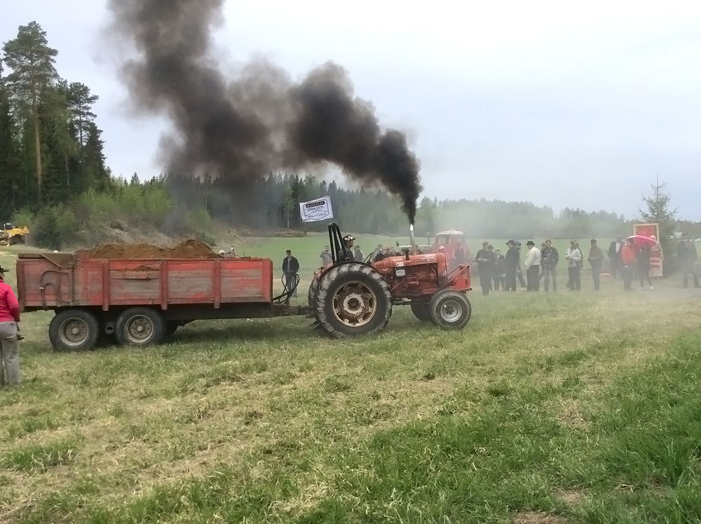 pauke17.jpg