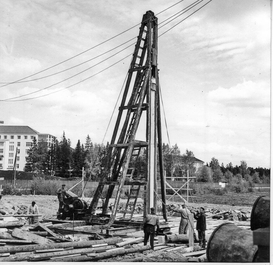 Pekkinen-paalutus.jpg