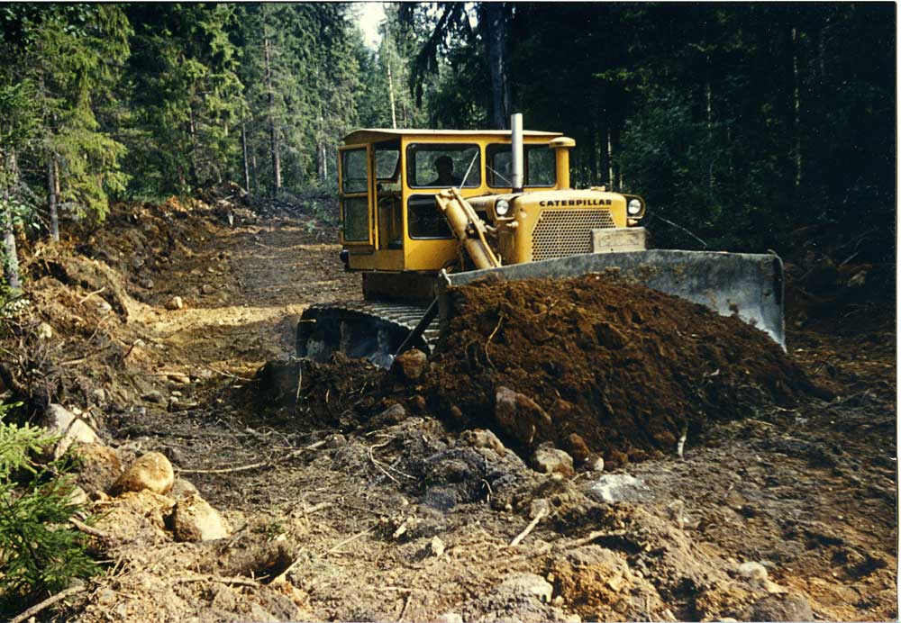 CAT-D7.jpg