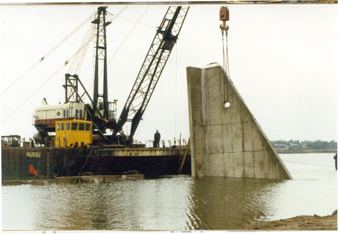4 1242.jpg